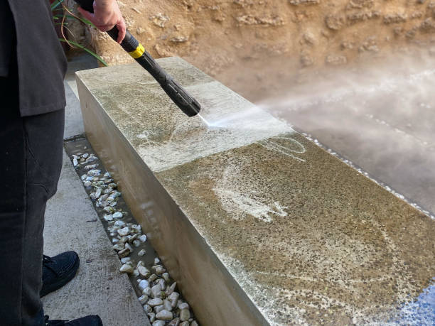Best Roof Pressure Washing  in Lake Belvedere Estates, FL